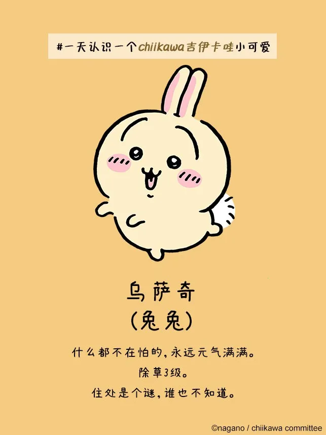 口袋吉伊卡哇国际服2025下载安装 口袋吉伊卡哇国际服2025下载安装