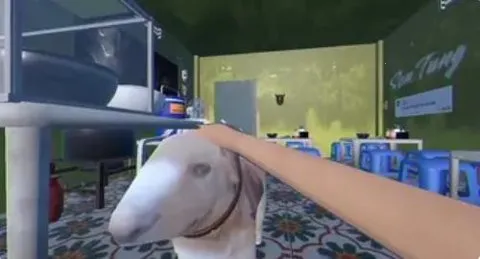 ֵܵĺӷ۲ֻv1.0.1 ٷͼ3