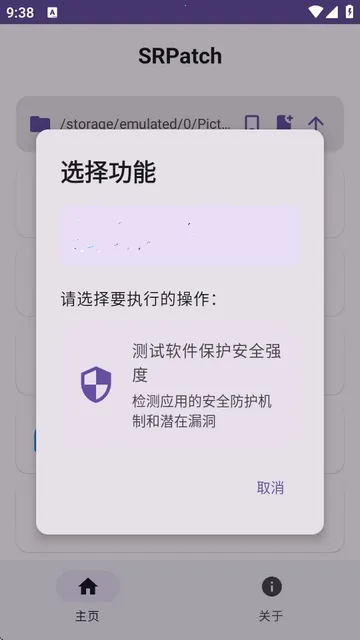 SRPatch(װ޸)v2.0.0 ֻͼ4