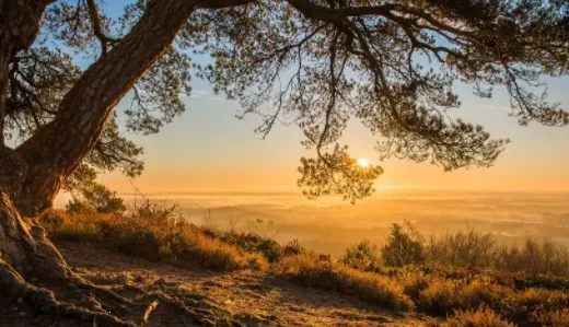 视频抠图精灵2025最新版本 视频抠图精灵2025最新版本