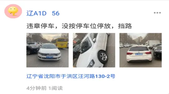 随手拍举报2025下载安装 随手拍举报2025下载安装