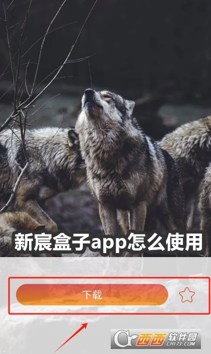 ��巺���2025���ذ�װ