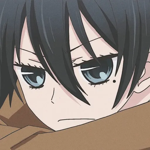 ��¿������2025���ذ�װ