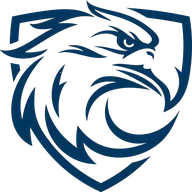 ��ӥ����(��Ƶ���Ź�������)