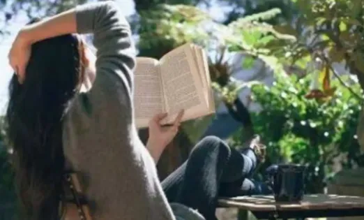 ����С˵2025���°汾