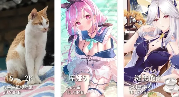 ���ݱ�ֽ2025�ٷ�����