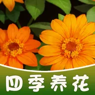 �ļ�����(��ֲ����׬���)