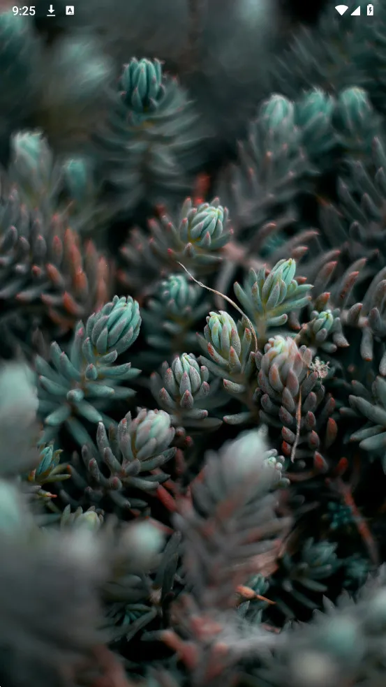 Dock��ֽ��׿���ֻ���v1.0.11 ��Ѱ��ͼ0