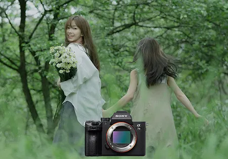 �����й�(���Ṻ������)