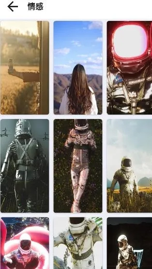 ������ֽpro(��ֽ��������)