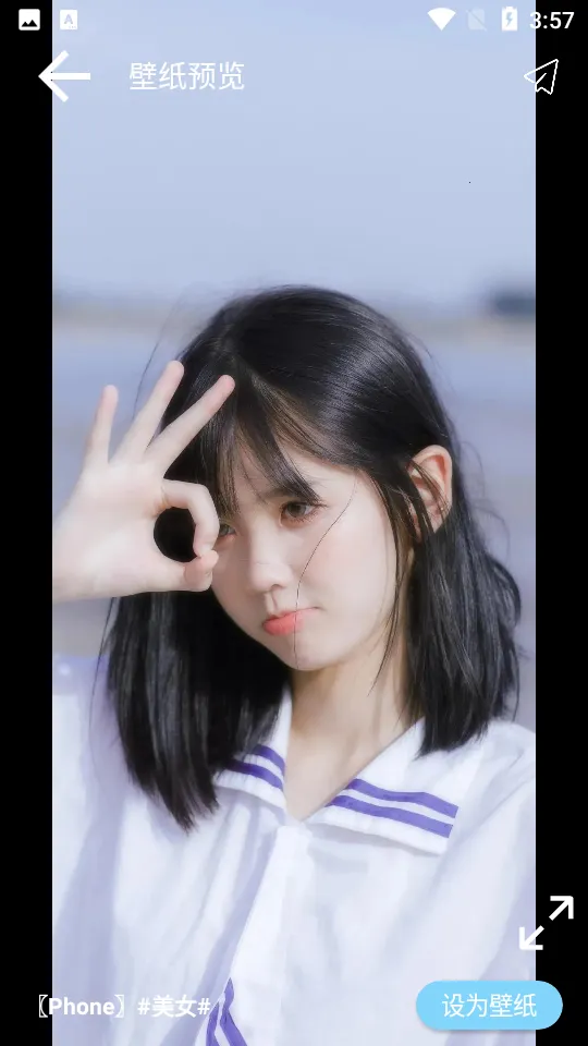 ������ֽpro(��ֽ��������)