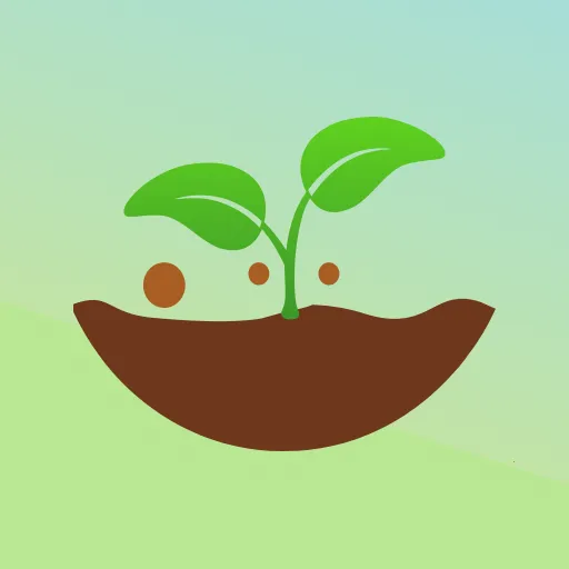 ����ѧϰ2025�ٷ�����