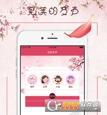 ����������(��Ƶ��������)