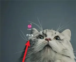 ���ļ�(Ů���������ƽ̨)