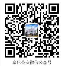 �����걨2025���ذ�װ