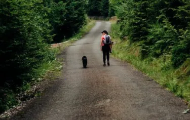 �˶������Ʋ�2025���ذ�װ