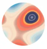 ������ֽ(��ֽ��������)