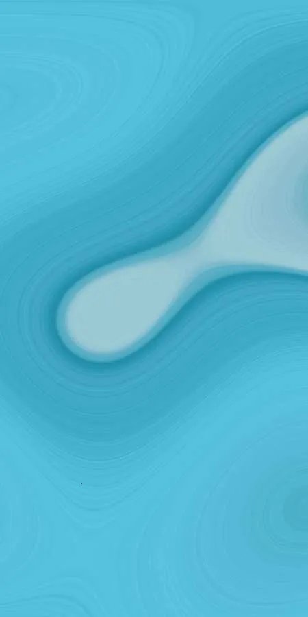 ������ֽ(��ֽ��������)