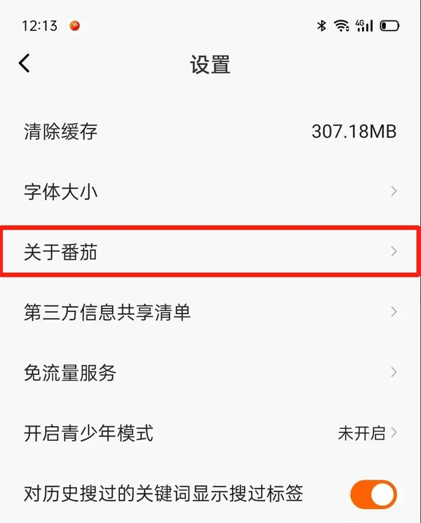 ���ѳ����ٷ�����2025���ذ�װ