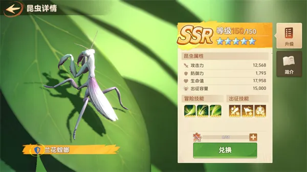 СС�Ҵ���(ĩ��������Ϸ)