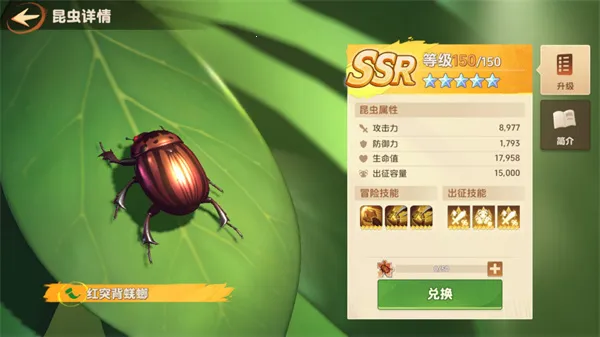 СС�Ҵ���(ĩ��������Ϸ)