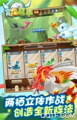 ��������(����������Ϸ)