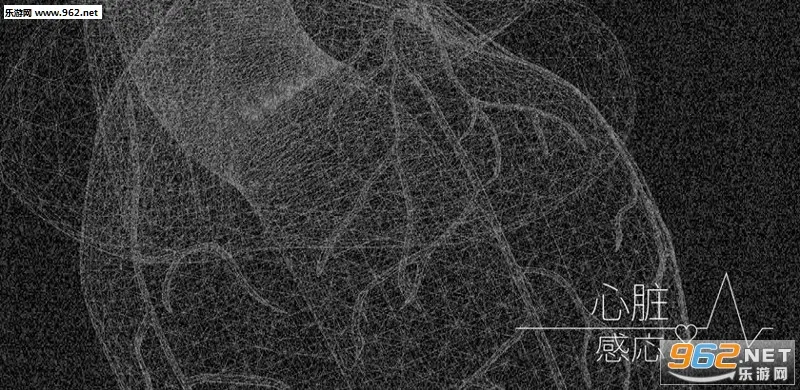 �����Ӧ2025�ٷ����°汾