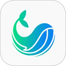 ����2025�ٷ�����