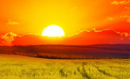 С�������2026�ٷ����°汾