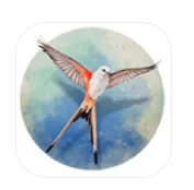 չ�᰿��(���࿨����Ϸ)