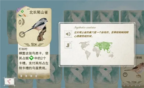 չ�᰿��(���࿨����Ϸ)