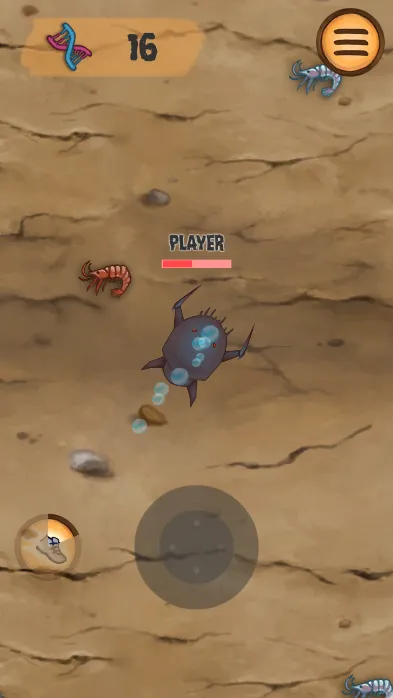 ����2026�ٷ�����