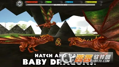 ģ���������2026���°汾