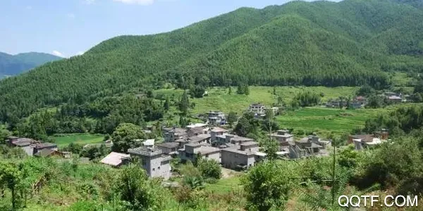 �ǻ۷���(������Ѷ�����)