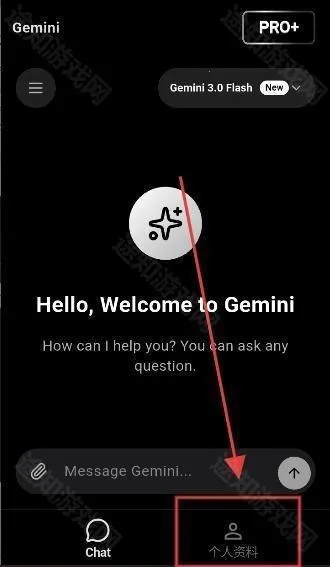 Google gemini
