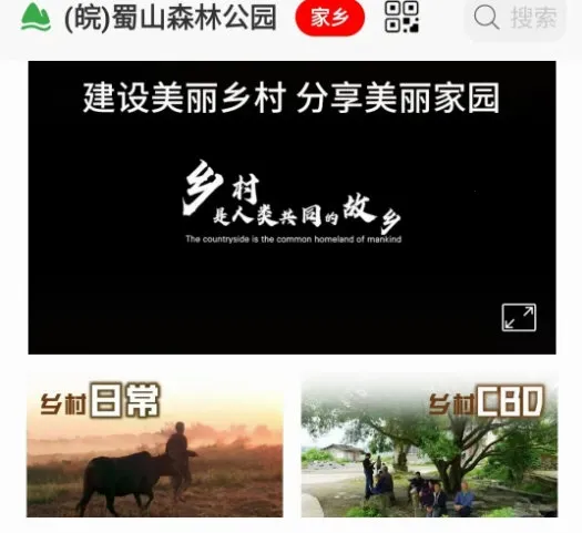 ���꼯��׿���ֻ���