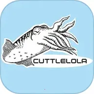 �Ƕ�����2026���ذ�װ