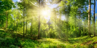 �Ӷ�����2026�ٷ�����