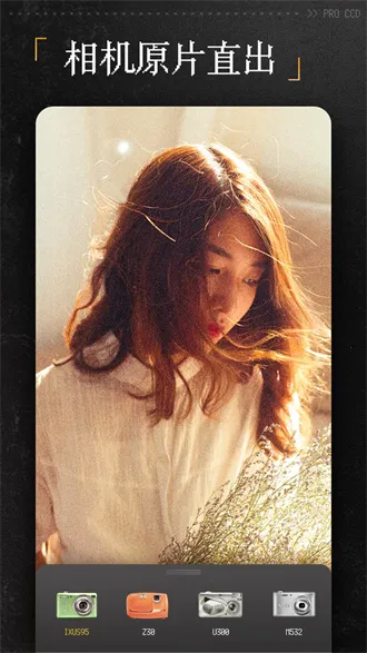 proCCD���Ž�Ƭ���