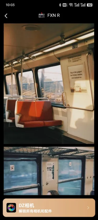 DZ���2026�ٷ�����