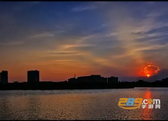 ��������2026�ٷ�����