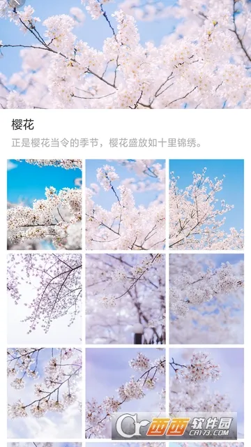 ��ű�ֽv1.0.0 �ٷ������ͼ2