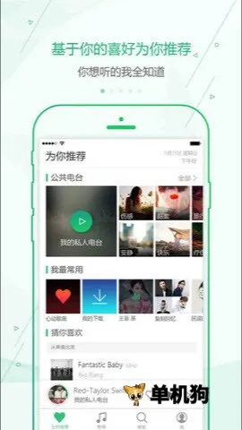 �ſ�������