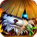 3D��������