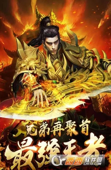 ���ǰ���2026�ٷ�����