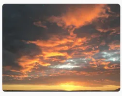 Pendo2026�ٷ����°汾