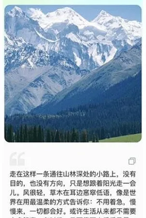 ��ý�����Ŵ�������