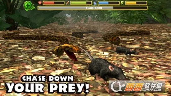 ����ģ����v1.5 �ֻ����ͼ0