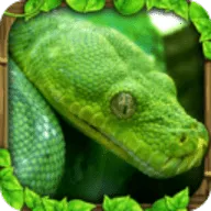 ����ģ����