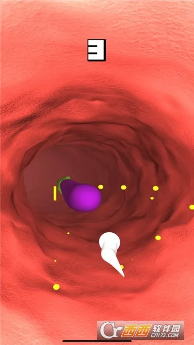 ����̽��2026�ٷ�����